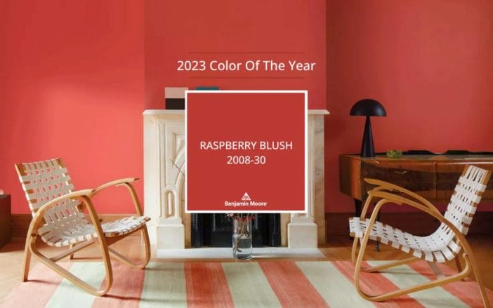 2023 Color Trends - Color - Raspberry Blush